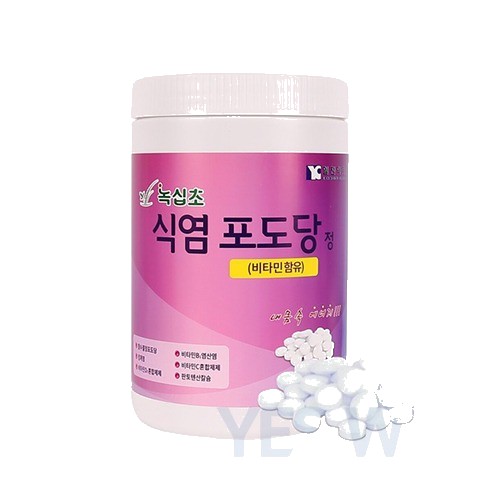 식염정 녹십초 1000정